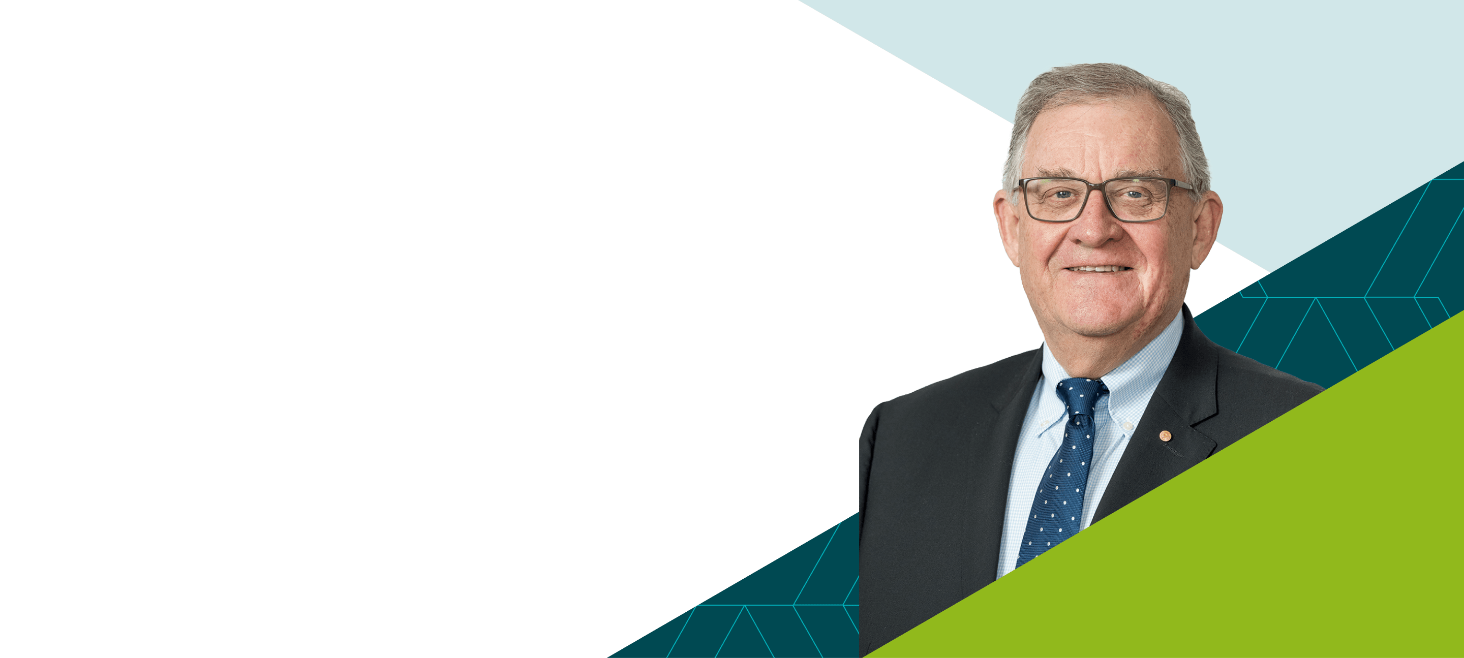 John Vines OAM, Professional Standards Councils Chair